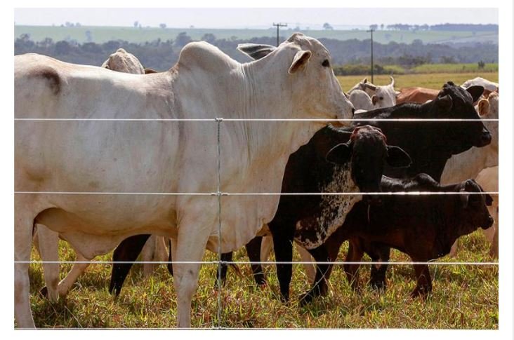 PIB de MT apresenta segunda maior taxa de crescimento do Brasil, segundo IBGE