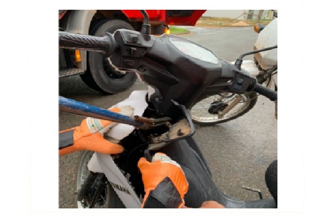 Bombeiros resgatam cobra em carenagem de moto