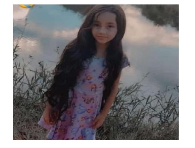 Menina de 8 anos morre após ser picada por cobra jararaca