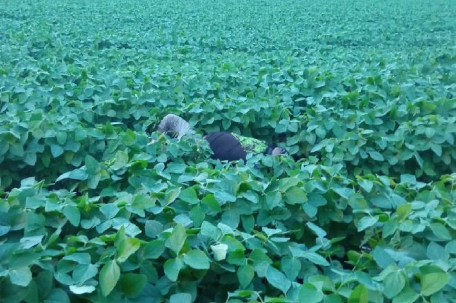 Corpo de homem é encontrado em meio a plantação em comunidade rural