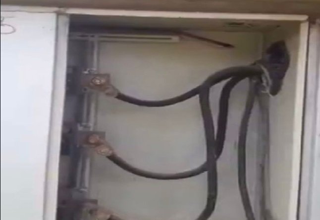 Cobra é encontrada em quadro energia durante medição do consumo