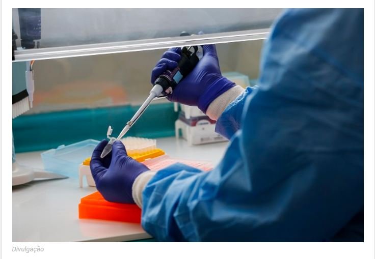 Medicamento anticovid de Pernambuco será testado em animais