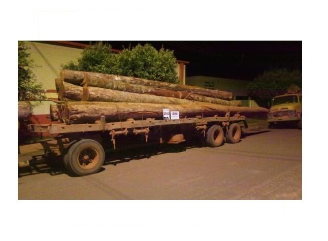 Tora cai de caminhão e mata trabalhador