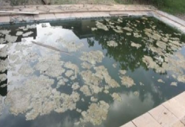 Criança é encontrada morta pelo pai em piscina suja de fazenda