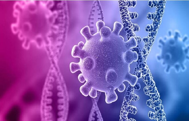 Anvisa identifica dois casos da variante Ômicron no Brasil