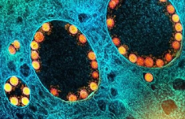 Ômicron chega a 57 países e hospitalizações devem subir