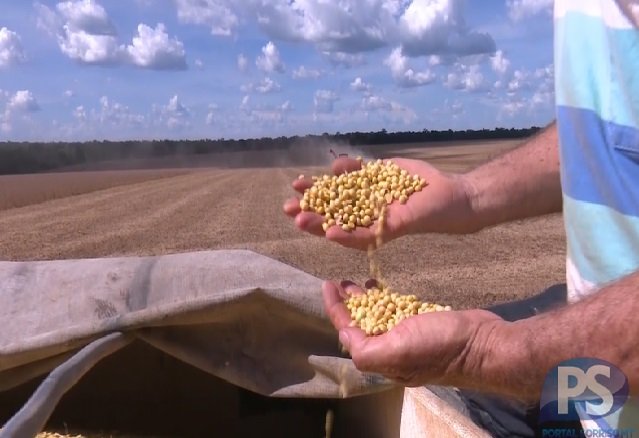 Agronegócio bate recorde de exportações em 2021