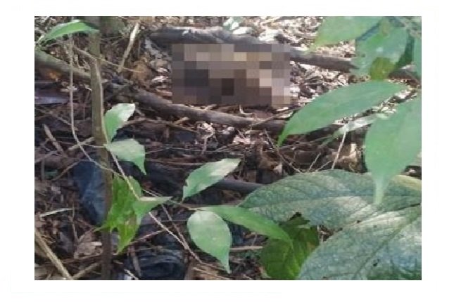 Ossada humana encontrada na zona rural de Juína é identificada