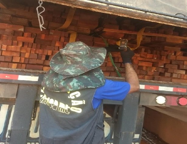 Ações conjuntas do Indea geram apreensão de 342 caminhões com transporte ilegal de madeira