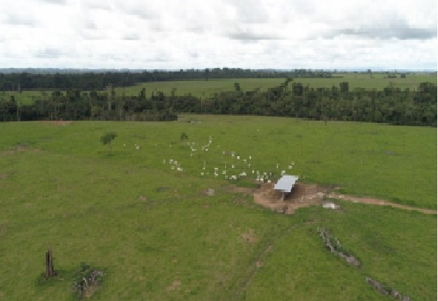 Com práticas sustentáveis, propriedade em Nova Bandeirantes atinge produtividade 10 vezes maior que média nacional