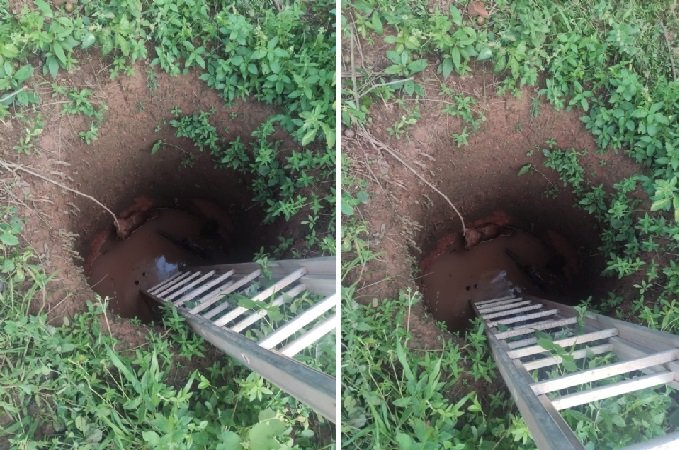 Cachorro que ficou preso em cisterna de quase 5 metros por quatro dias é resgatado pelo Corpo de Bombeiros