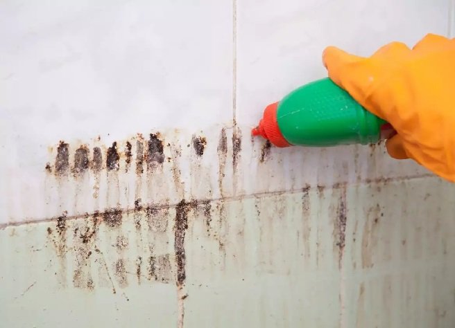 Saiba como tirar crosta de sujeira do azulejo do banheiro com 3 ingredientes que você tem em casa