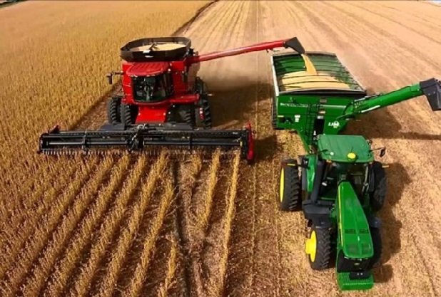 Ministra da agricultura do Brasil acredita em safra acima de 291 milhões de toneladas em 2022