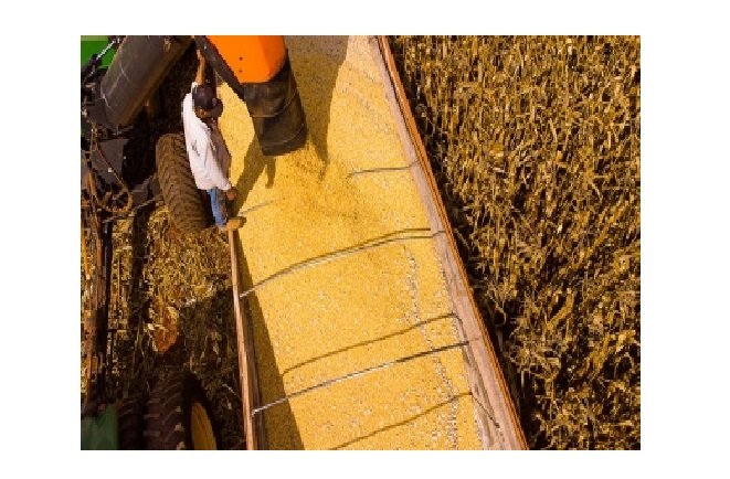 Mato Grosso tem 35 municípios na lista dos 100 mais ricos do agronegócio