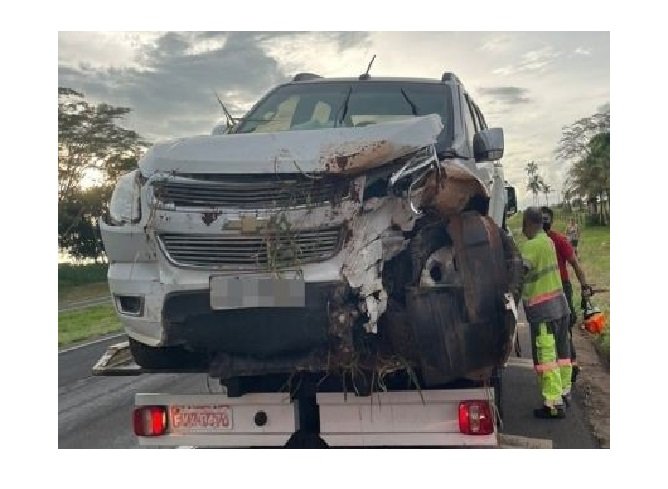Mãe de ex-deputado morre em acidente de carro em rodovia