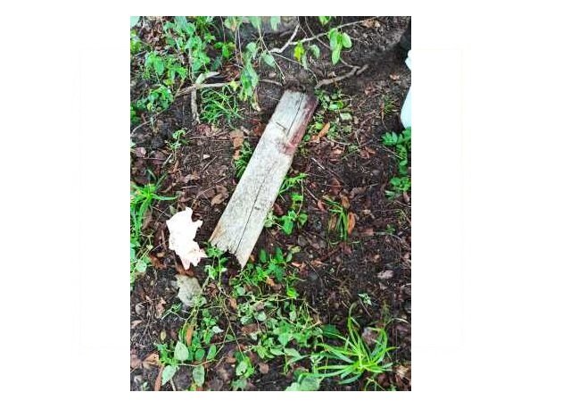 Homem é assassinado a pauladas durante discussão em fazenda