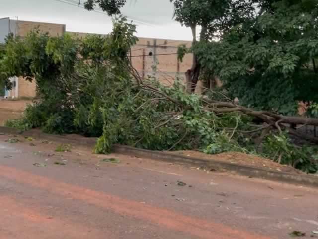Bombeiros em Colíder socorrem vitima de acidente com queda de fios na MT-320. (Vídeo)