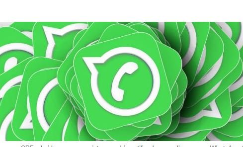 Esquema de disparos no WhatsApp teria usado CPFs de idosos