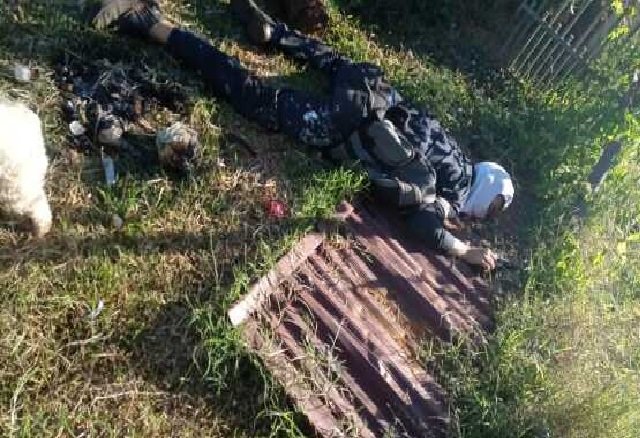 Proprietário de fazenda mata criminoso a tiros ao reagir a roubo