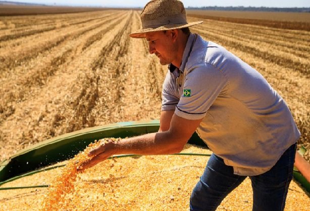 Mato Grosso lidera produção agropecuária brasileira por 4 anos consecutivos