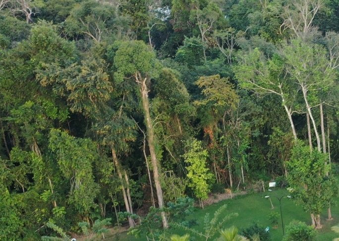 Atividades físicas e recreativas próximas à natureza podem melhorar sua qualidade de vida