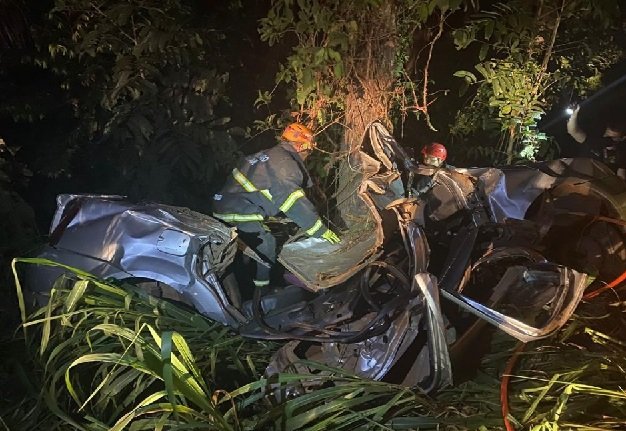Homem morre após colidir Renault Logan com árvore em rodovia; veja fotos