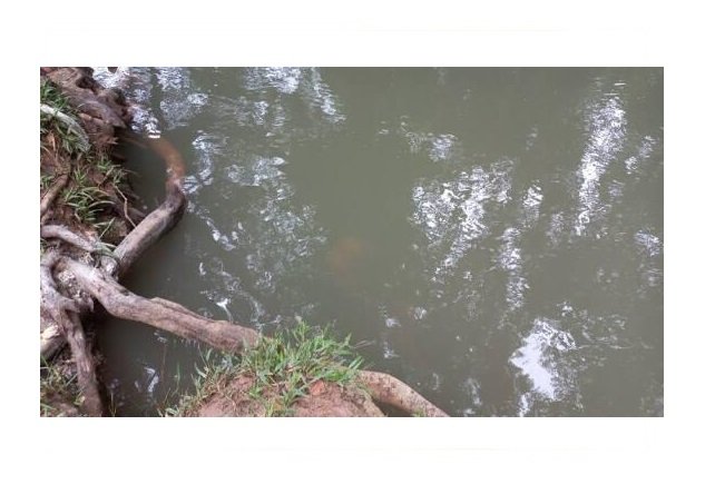 Corpo sem cabeça é encontrado em rio de MT