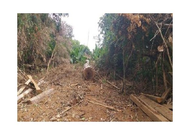 Mato Grosso aumenta em 550% autuação a crimes ambientais nos últimos 3 anos