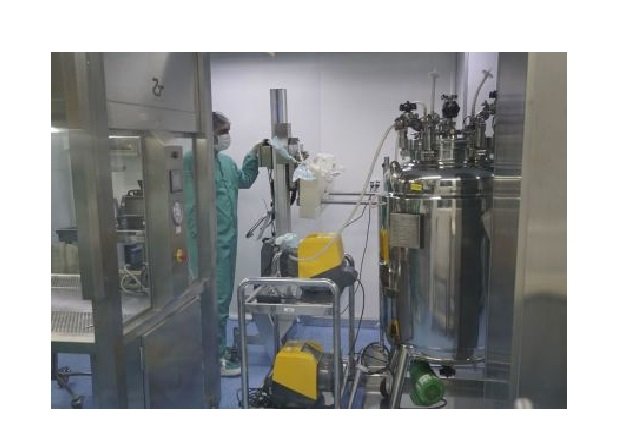 Vacina 100% brasileira está em fase final de desenvolvimento