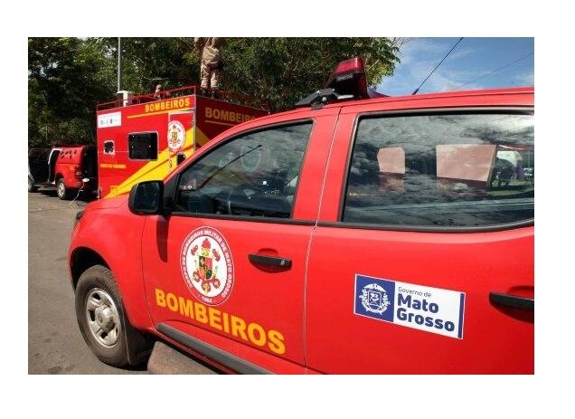 Homem recebe descarga elétrica enquanto pegava cocos