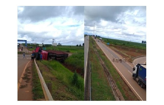 Caminhão com gado tomba em rodovia e animais ficam soltos