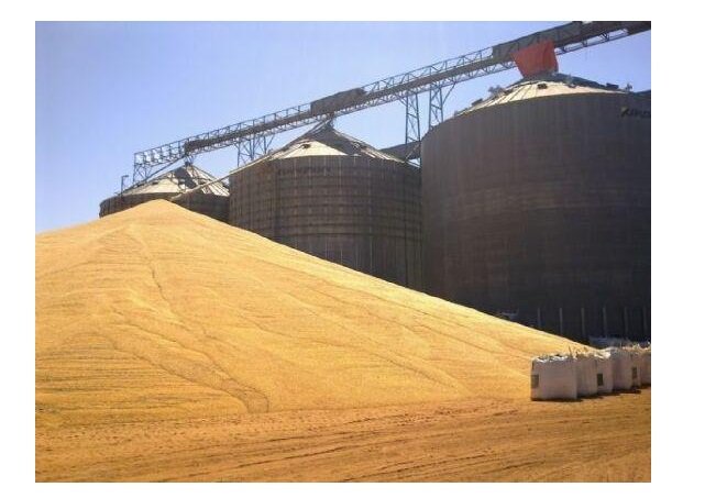 Mato Grosso tem déficit de armazenagem de 54,28 milhões de toneladas