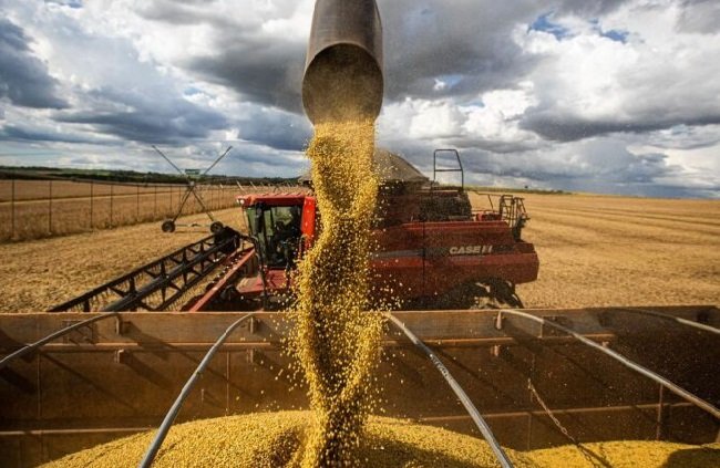 Preço da soja sobe no mercado internacional e saca produzida em MT é vendida por até R$ 176