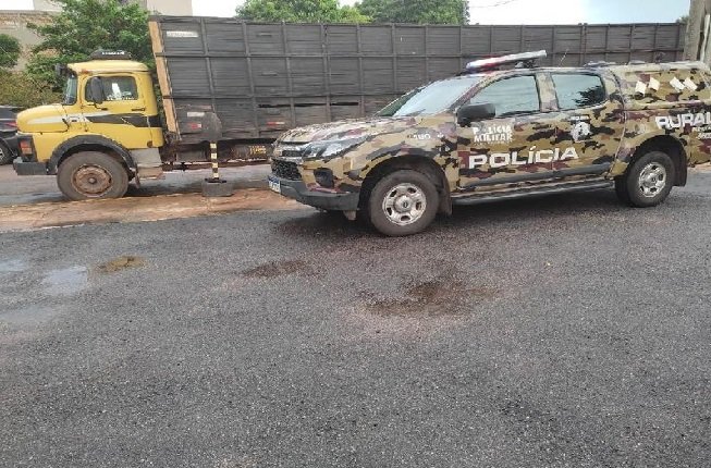 Patrulha Rural recupera 38 cabeças de gado furtadas de fazenda e prende dois homens