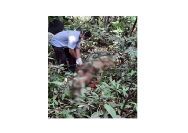 Homem mata desafeto a facadas e esconde corpo em mata em MT