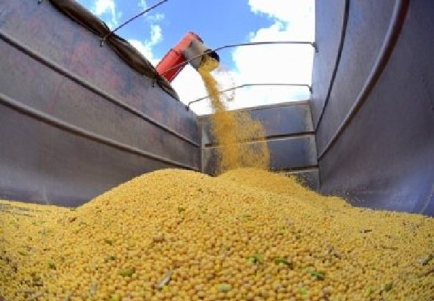 Faturamento da produção agropecuária de MT deve crescer 17% neste ano