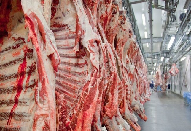 Brasil deve fechar fevereiro com exportação recorde de carne bovina