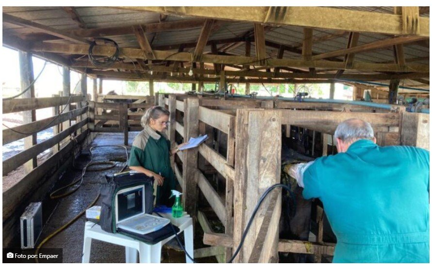 Primeira etapa do programa estadual mostra bom desempenho de produtores de Colíder