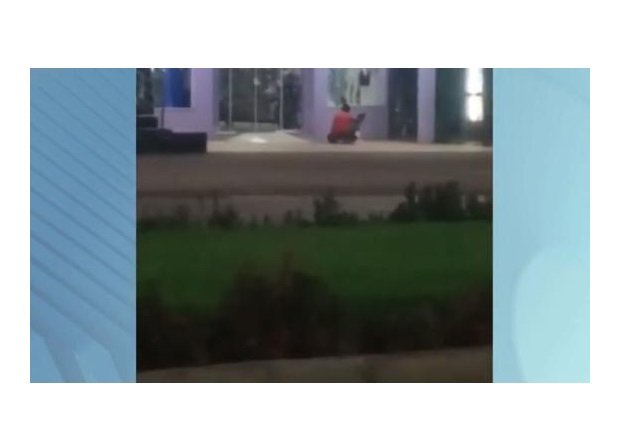 Vídeo flagra homem estuprando cadela no meio da rua em MT