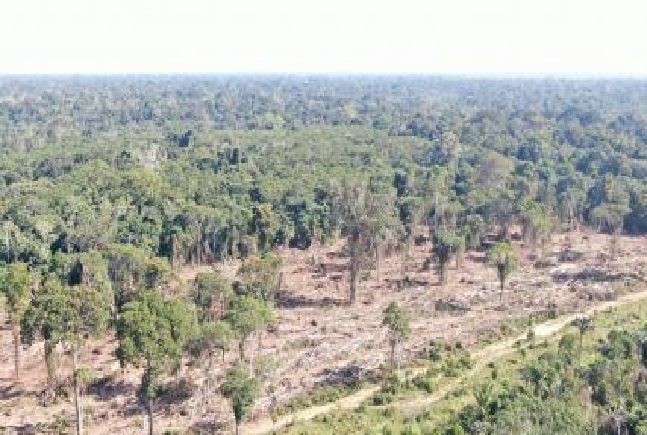 Deputado quer tirar MT da Amazônia Legal para aumentar produção