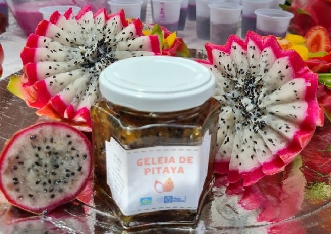 Encontro técnico fomenta produção e comercialização da pitaya em Mato Grosso