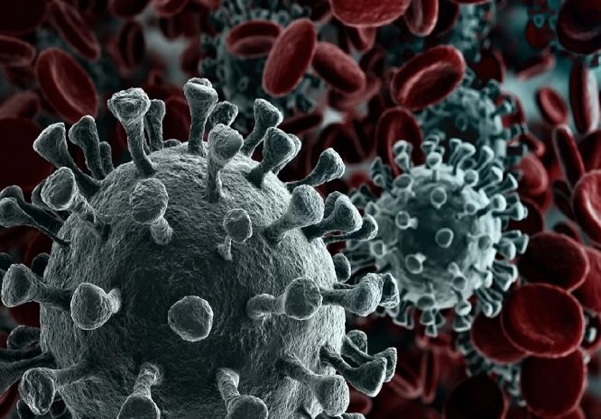Cientistas descobrem ‘deltacron’, nova variante com versões de ômicron e delta