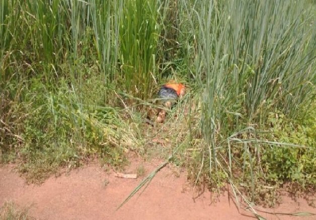 Corpo com sinais de tortura, orelhas e parte do nariz cortados é encontrado na beira da estrada