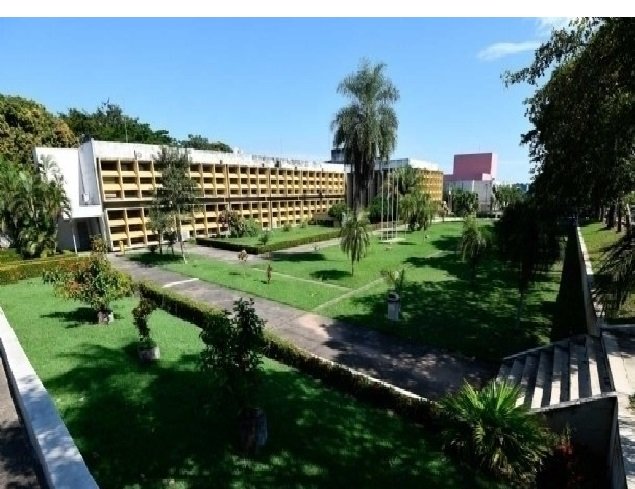 Técnicos da UFMT paralisam atividades e pedem reajuste salarial