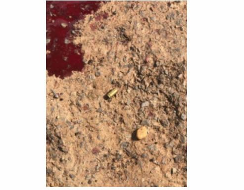 Rapaz briga com a mãe e é morto por vizinho em MT