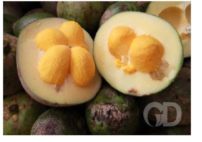 Pequi transforma-se em iogurte e kefir em pesquisa na UFMT