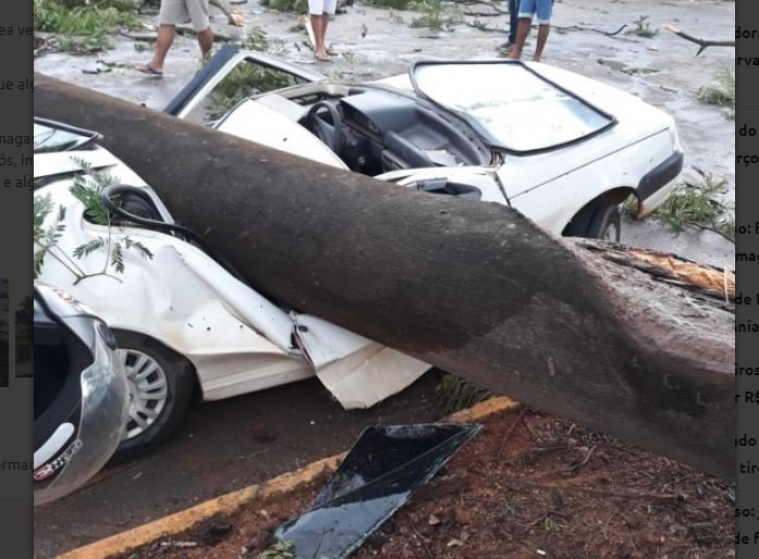 Sorriso: fortes ventos derrubam árvores e fios; carro é ‘esmagado’