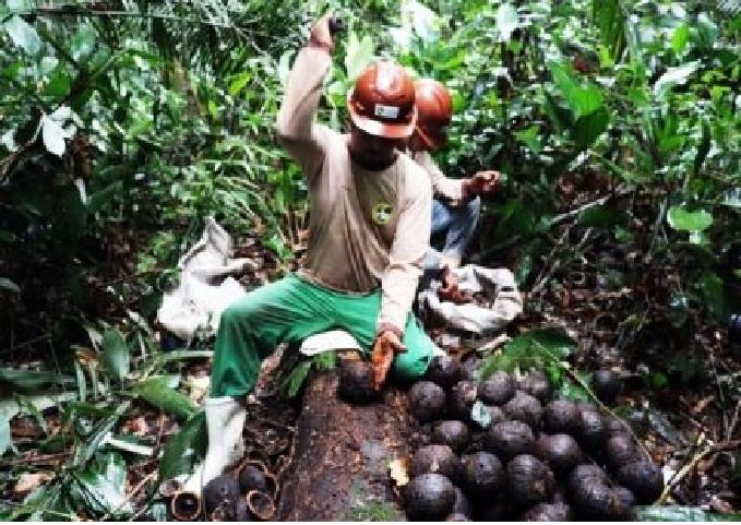 Programa lança edital de R$ 23,5 mi para organizações produtivas