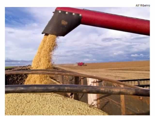 Guerra na Ucrânia aumenta exportação de soja em MT