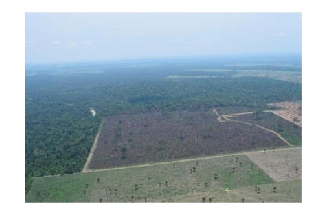 Mais de 5 mil pessoas assinam manifesto contra retirada de MT da Amazônia Legal